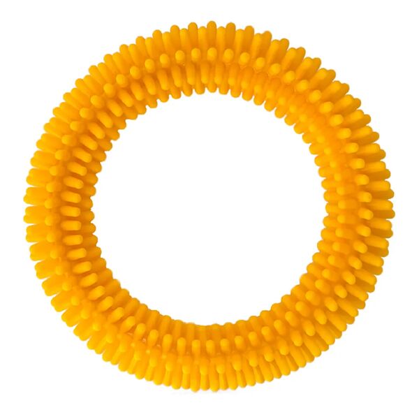 Игрушка для собак Кольцо с шипами 15,5 см