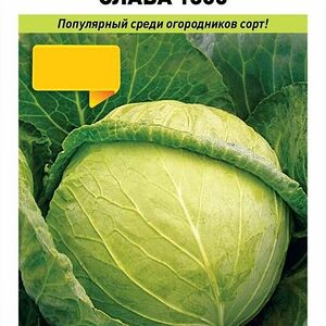Семена Русский Огород Капуста Слава 1305 белокочанная 0.5г