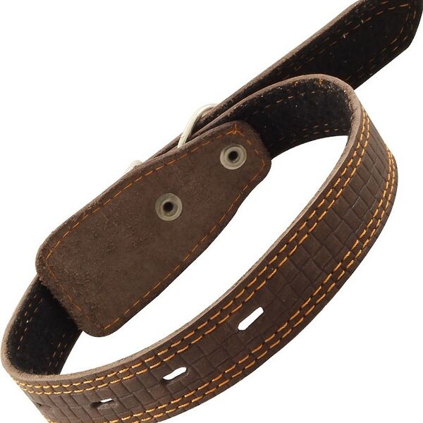 Гамма ошейник кожаный двойной безразмерный 55 см.