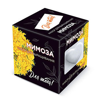 Подарочный набор Эко Клуб для выращивания Для тебя! Мимоза в дизайнерском кубике ручной работы, Россия