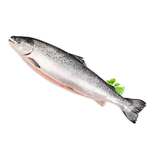 Семга (лосось) замороженная