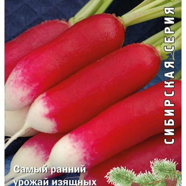 Семена редис Аврора ТМ Поиск