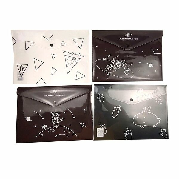 Конверт-папка для бумаг CSQ2011311