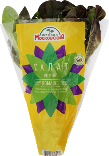 

Салат Ромэн в горшочке, 90 г