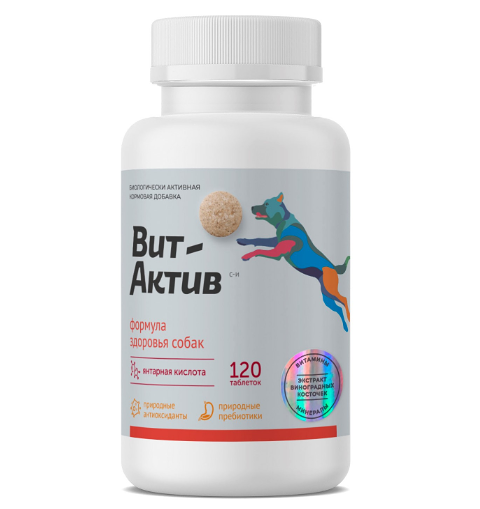 Биологически активная кормовая добавка Вит-Актив Формула здоровья для собак, 120 таблеток