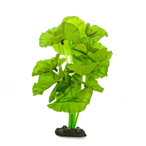 Декор для аквариума Растение шелковое Нимфея, зеленое, 20см