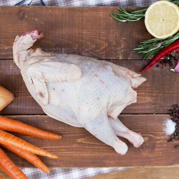 Курица для варки суповая