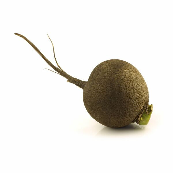 Редька черная ТМ Ашан