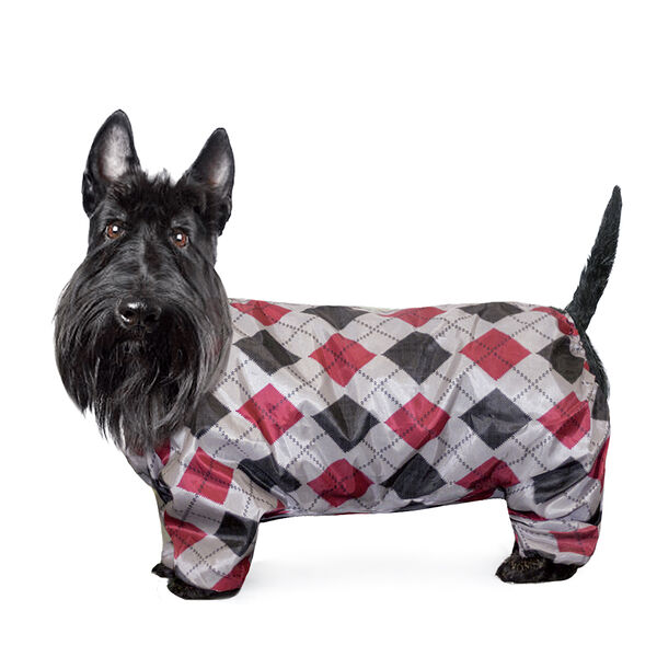 Комбинезон-дождевик для собак Gamma Скотч-терьер 37 см