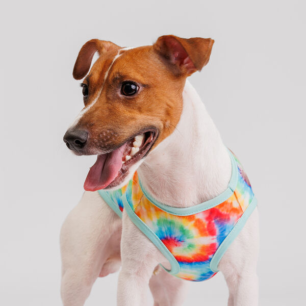 Футболка для собак Rurri Хиппи яркие краски XL