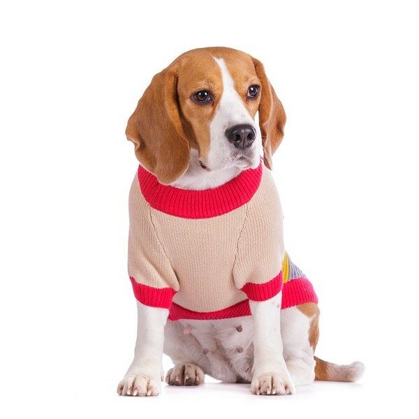 Petmax Свитер для собак 41 см 2XL красный (унисекс)