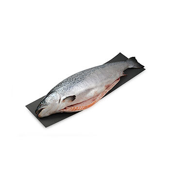 Лосось охлажденный потр. с головой, Россия