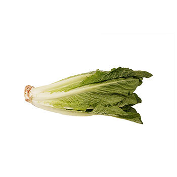 Салат Ромейн от фермера