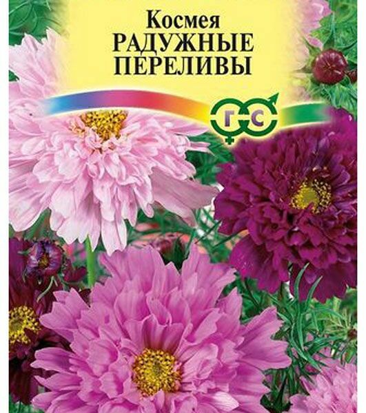 Семена космея махровая - радужные переливы ТМ Гавриш