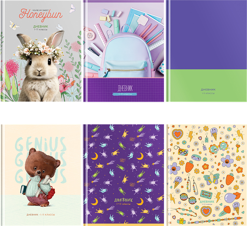 Дневник для девочки BG Mix-6, 1-11 класс, 48 листов, soft-touch ламинация, в ассортименте 1 шт