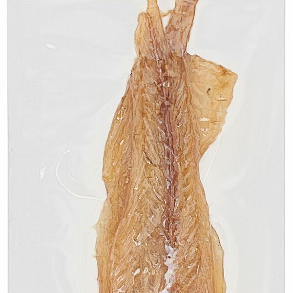 Минтай вяленый Фландерр филе