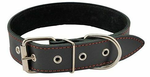 Ошейник для собак Homecat кожаный черный, 20 см