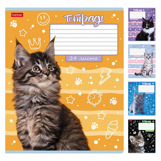 Тетрадь 24л А5 линия на скобе 5 серия Ушки на макушке 24Т5В2