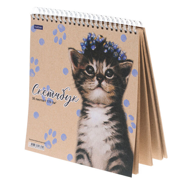 Блокнот Premium SketchBook 30л А5 Котенок в веночке 30Б5Aгр_24242