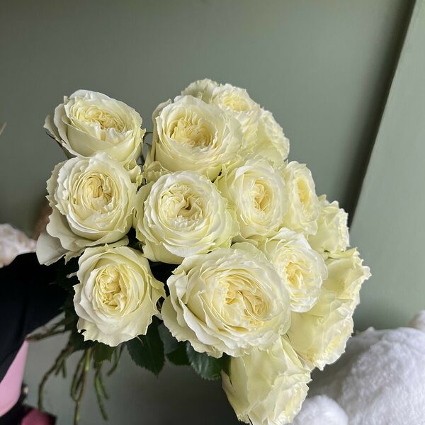 15 белых пионовидных роз