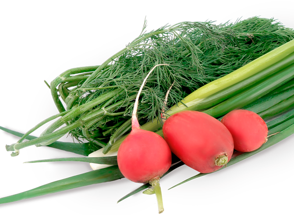 Набор зелени для окрошки, с редисом