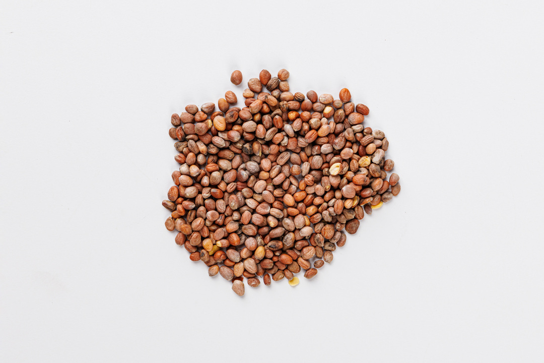 

Семена Редис "Октава" (А)_СО 3 г