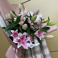 Изображение 4