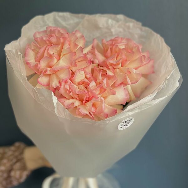 МОНО | французская роза