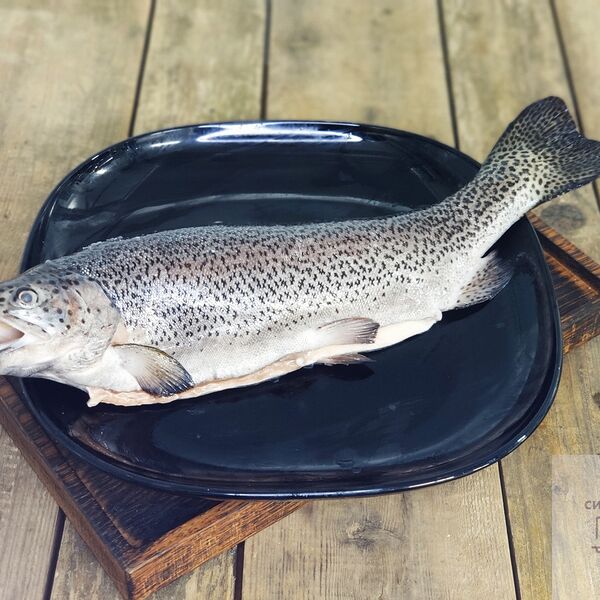 Форель (Карелия)