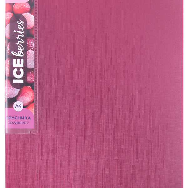 Папка Expert Complete с металлическим зажимом Брусника А4