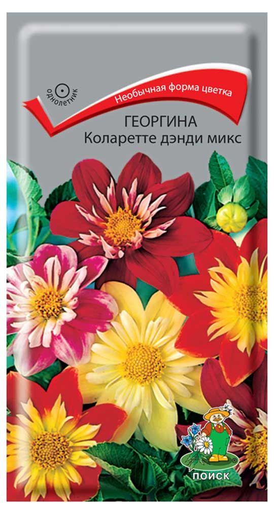 

Семена Георгина Поиск Коларетте дэнди микс