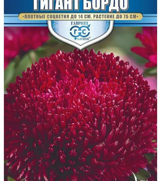 Семена Астра Гавриш Гигант бордо игольчато-коготковая однолетняя