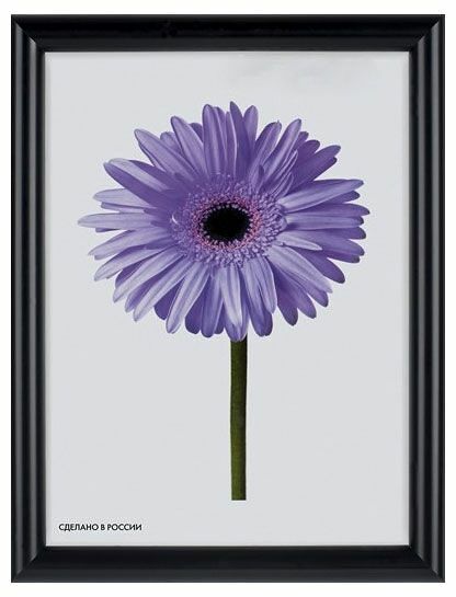 Фоторамка Maria (Мария) Венге, 30х40 см ТМ Метрика