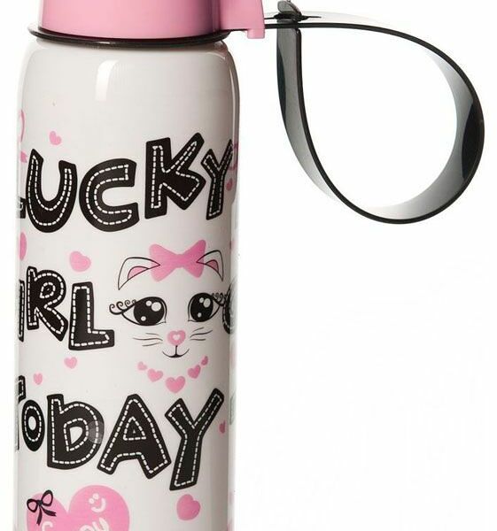 Бутылка для напитков -  500 миллилитров ТМ Herevin (Херевин) в ассорт.