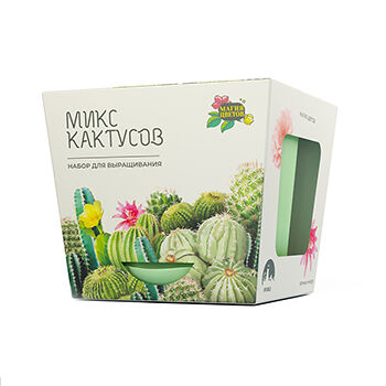 Набор для выращивания растений Магия цветов Микс кактусов