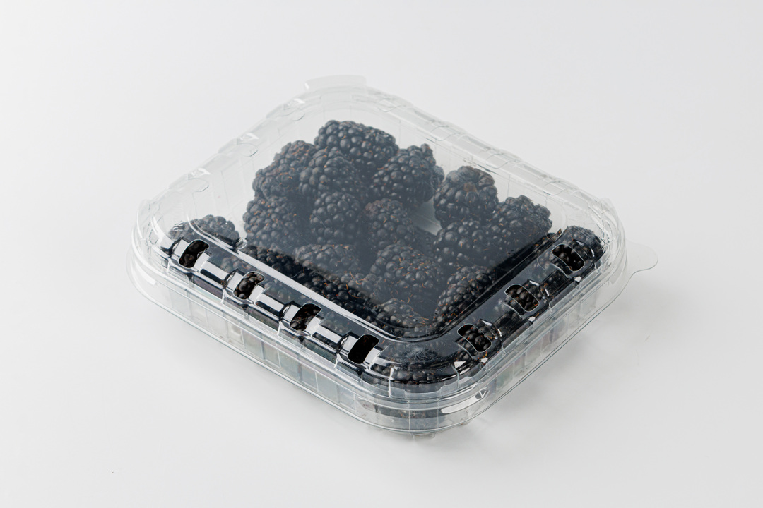 

Ежевика 125г