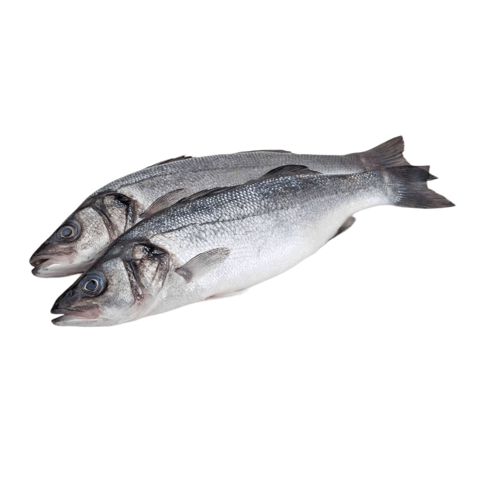 

Сибас охлажденный вес