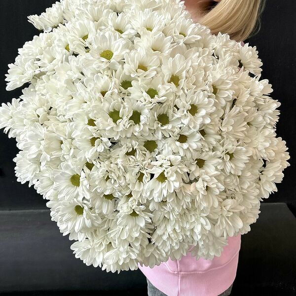 Ромашковые хризантемы