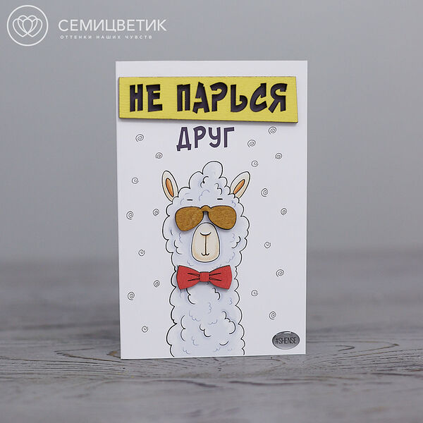 3D открытка 10*15  Не парься, друг! 