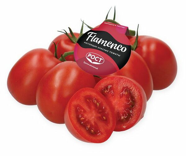 Томаты Flamenco красные сливовидные на ветке вес