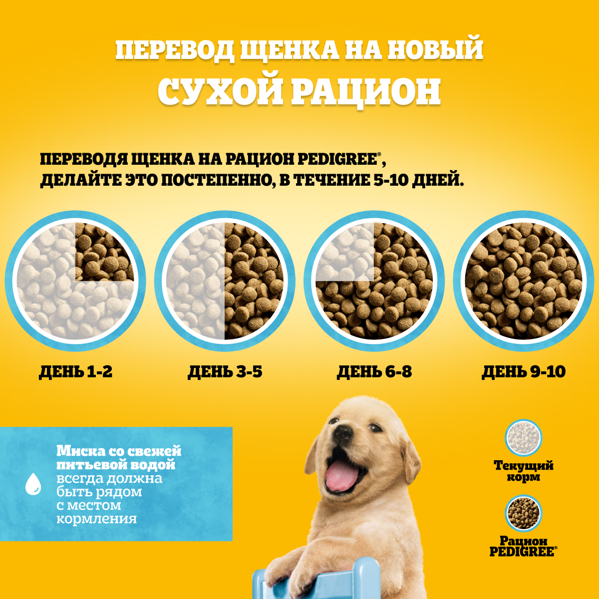 

Сухой корм Pedigree для щенков полнорационный с курицей 600 г