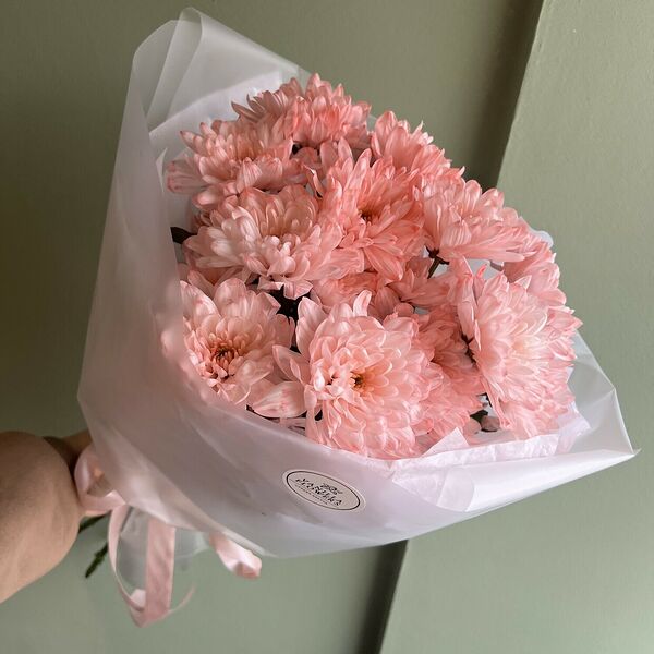 Персиковые хризантемы