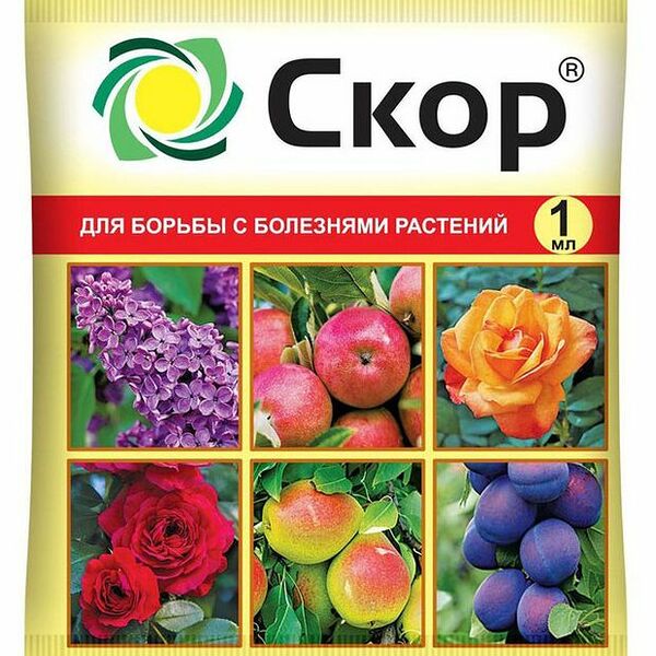 Средство защитное от болезней Ваше хозяйство Фунгицид Скор