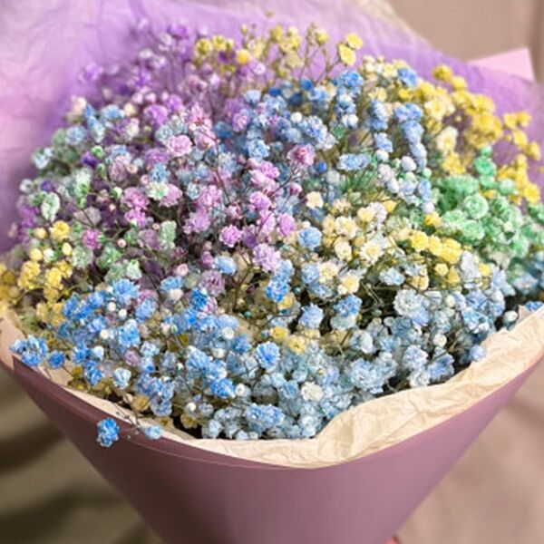 Букет из 5 цветных гипсофил