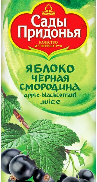 Сок Сады Придонья яблоко-черная смородина