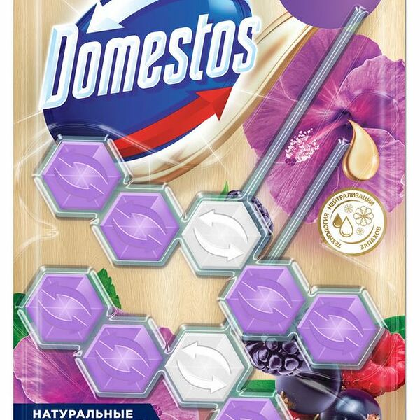 Блок для унитаза DOMESTOS Power 5 duo Сказочный аромат 2 × 50 г