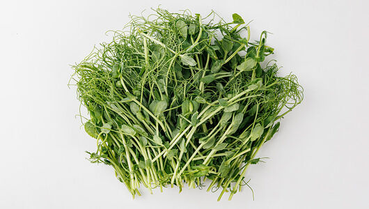 Микрозелень гороха