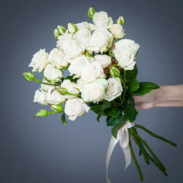 Монобукет 7 Роз Porcelaine под ленту