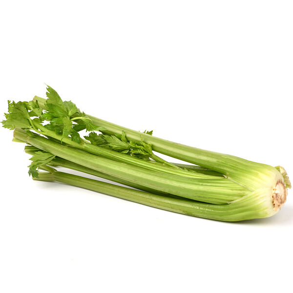 Сельдерей стеблевой