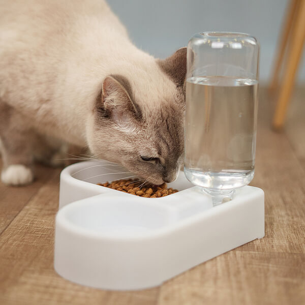 Миска с автопоилкой угловая, белая, 21х25,5х5 см